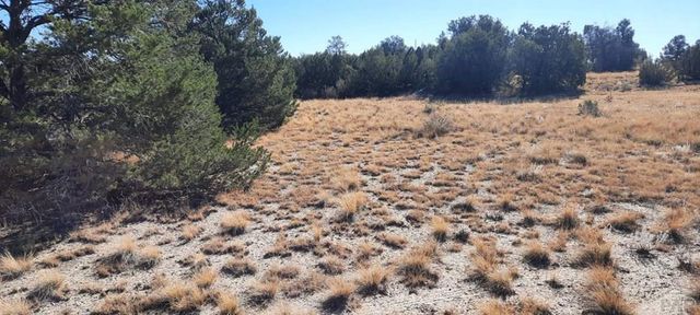 Lot 25 Cedarwood Station, Pueblo, CO 81069