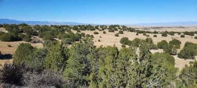 Lot 25 Cedarwood Station, Pueblo, CO 81069
