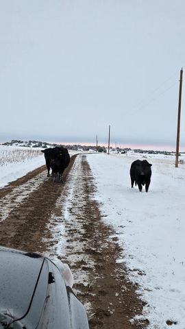 Lot 25 Cedarwood Station, Pueblo, CO 81069