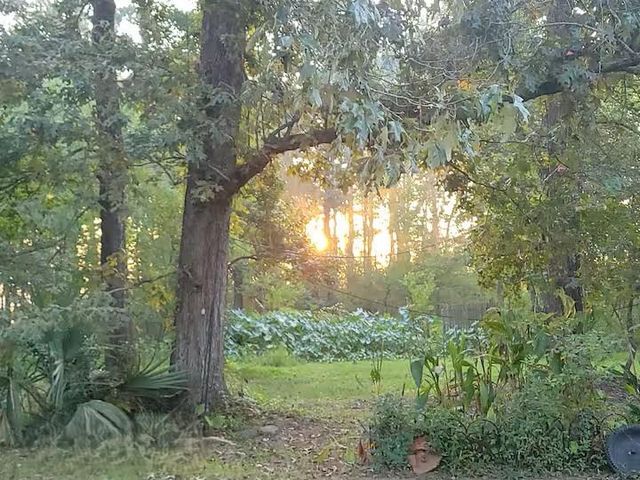 6B Davidson Lane, Huffman, TX 77336