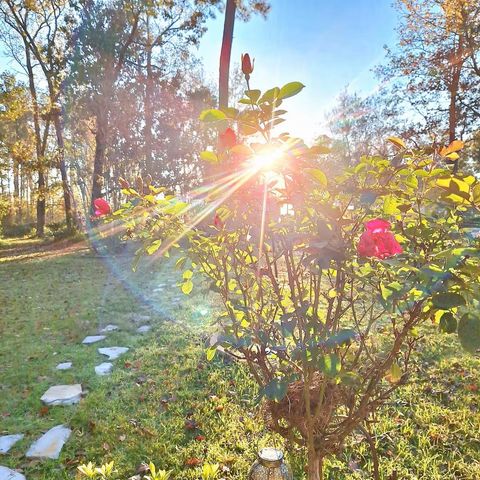 6B Davidson Lane, Huffman, TX 77336