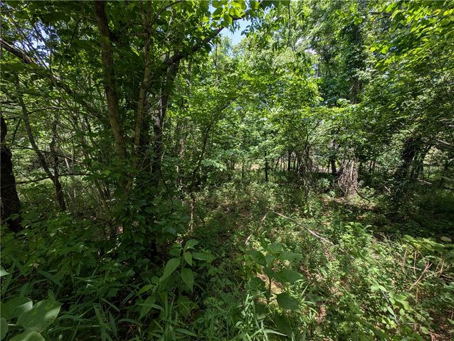 Wey Lane, Bella Vista, AR 72714