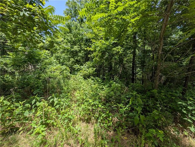 Wey Lane, Bella Vista, AR 72714
