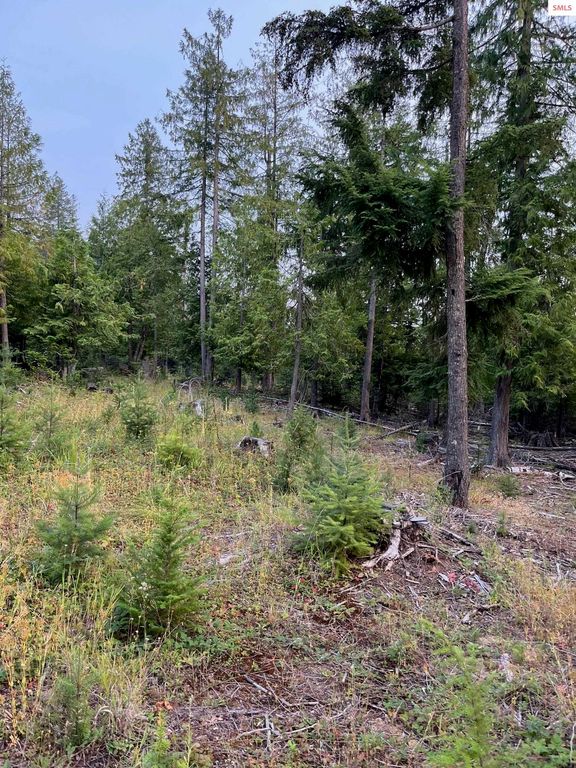 NNA Grouse Mountain Rd, Sagle, ID 83860 photo 3