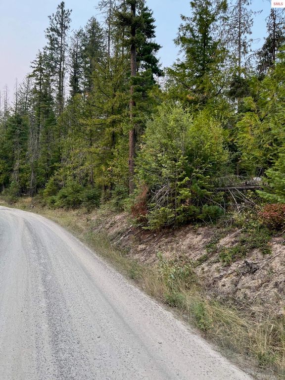 NNA Grouse Mountain Rd, Sagle, ID 83860 photo 4