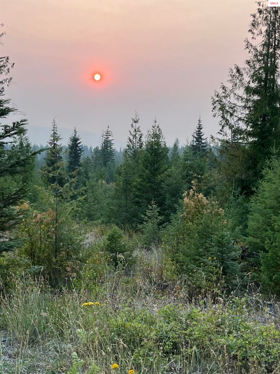 NNA Grouse Mountain Rd, Sagle, ID 83860 photo 5
