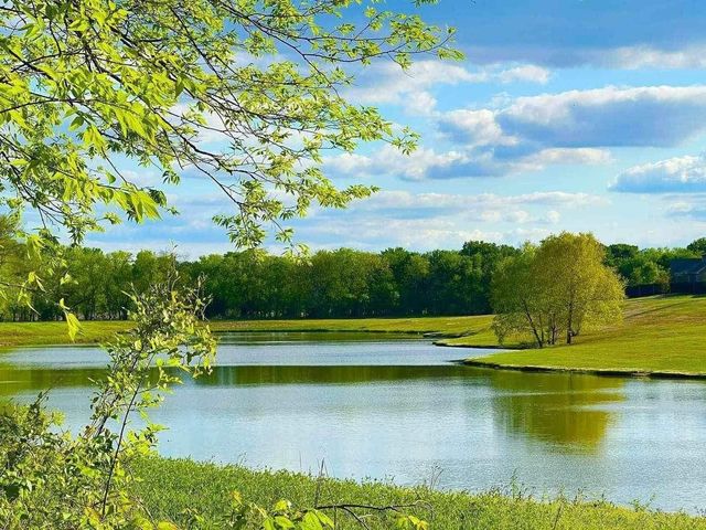 409 Somerville Drive, Mckinney, TX 75071