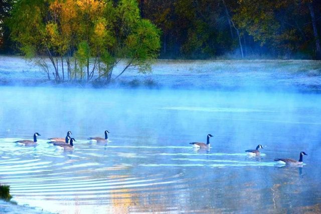 409 Somerville Drive, Mckinney, TX 75071