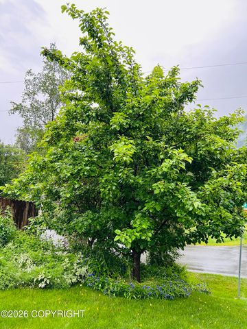 23627 Dolly Avenue, Chugiak, AK 99567