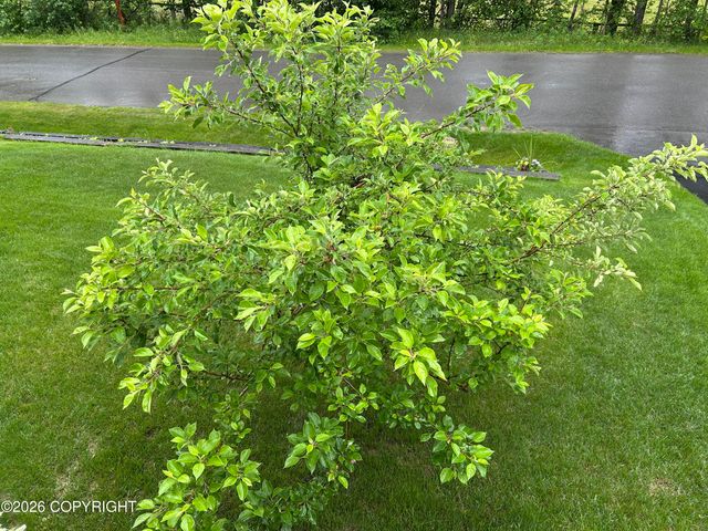 23627 Dolly Avenue, Chugiak, AK 99567