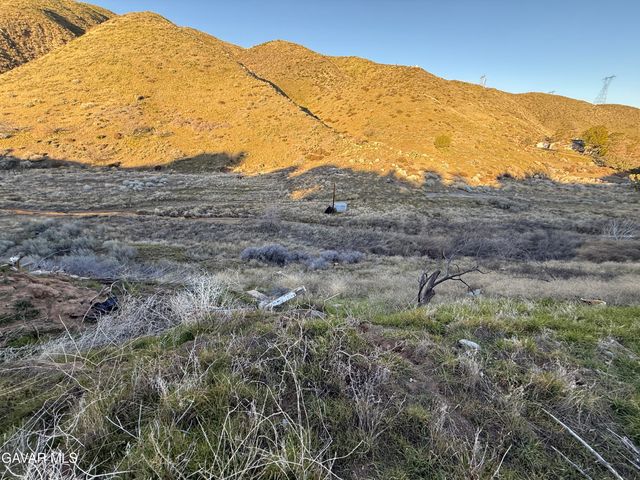 6221 Elizabeth Lake Road, Leona Valley, CA 93551