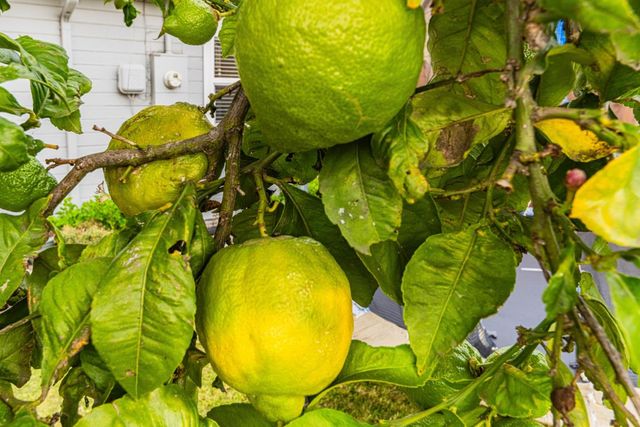 Address unavailable.