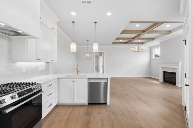 232 Equine Street, Franklin, TN 37064