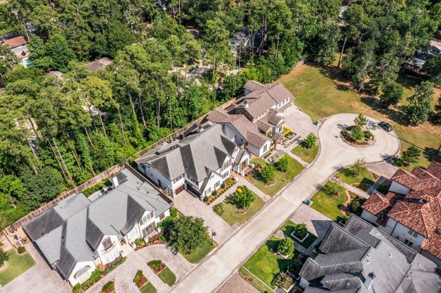 13 Honey Daffodil Place, The Woodlands, TX 77380