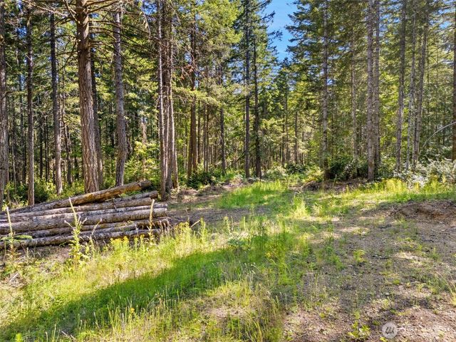 0 TR 4 E Mason Lake Road, Grapeview, WA 98546