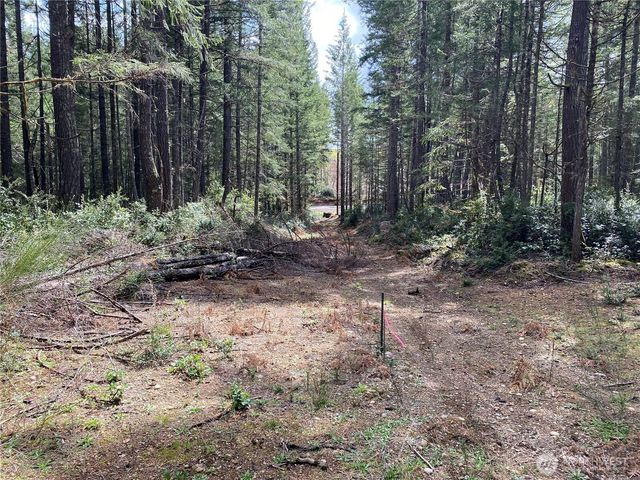 0 TR 4 E Mason Lake Road, Grapeview, WA 98546