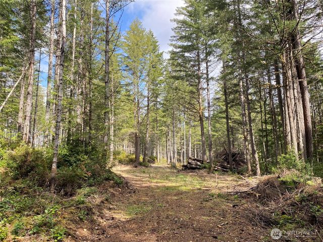 0 TR 4 E Mason Lake Road, Grapeview, WA 98546