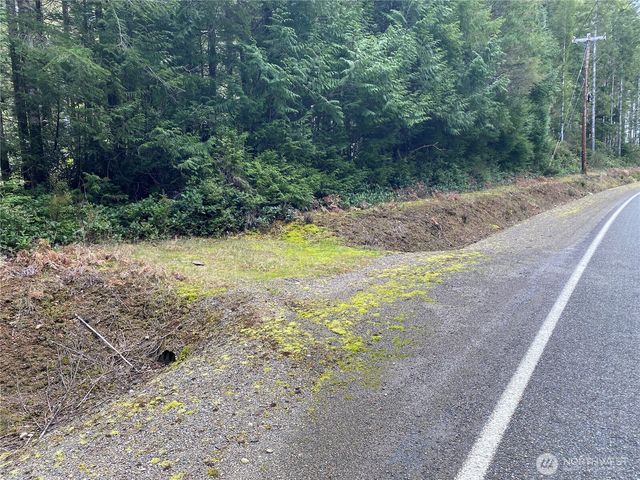 0 TR 4 E Mason Lake Road, Grapeview, WA 98546