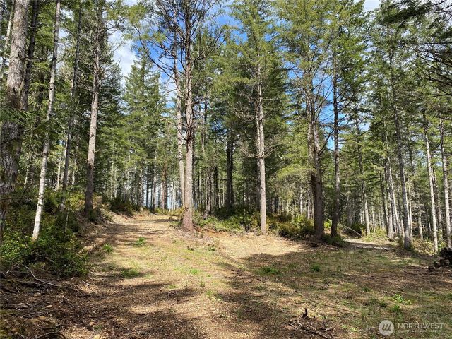 0 TR 4 E Mason Lake Road, Grapeview, WA 98546