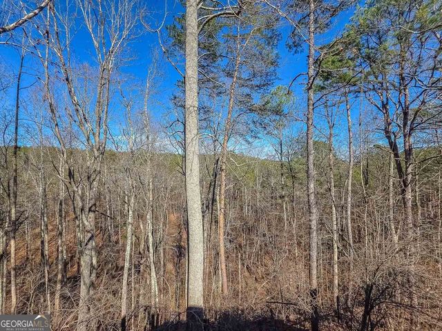 165 Horseshoe Bend, Jasper, GA 30143
