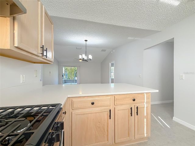 3248 RICHMOND DRIVE, The Villages, FL 32162