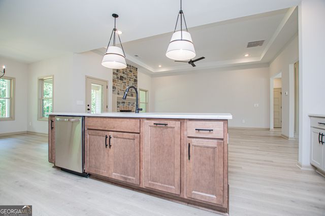 133 Woodford Drive, Roopville, GA 30170