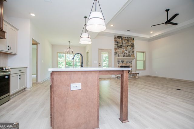 133 Woodford Drive, Roopville, GA 30170