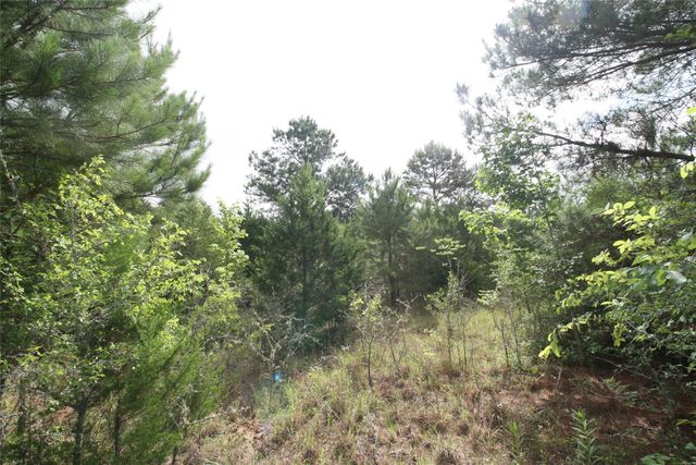 Tract 1 TBD VZCR 1507, Grand Saline, TX 75140