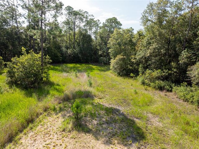 1784 BELLAMY ROAD, Florahome, FL 32140