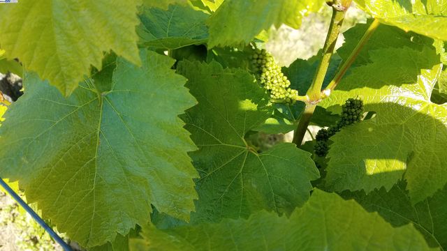 0 Fairview Dr., Hayward, CA 94542