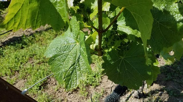 0 Fairview Dr., Hayward, CA 94542