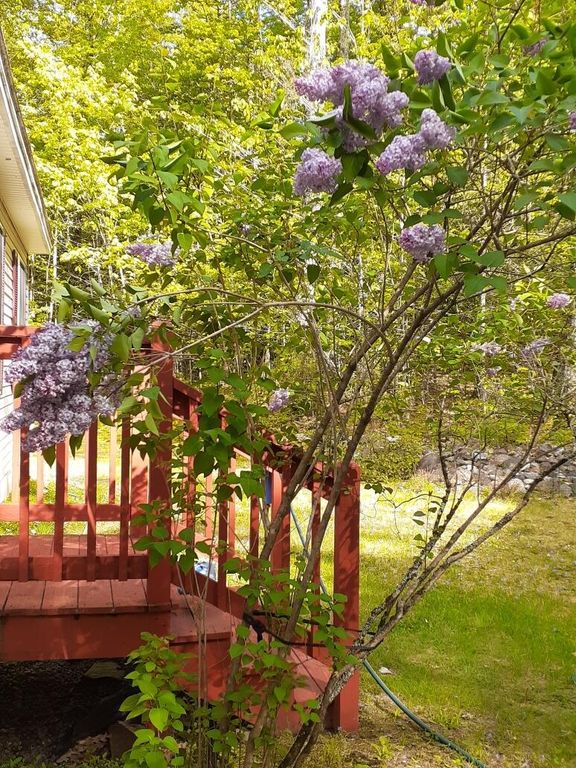 29 Dyer Lane, Casco, ME 04015 — photo 4