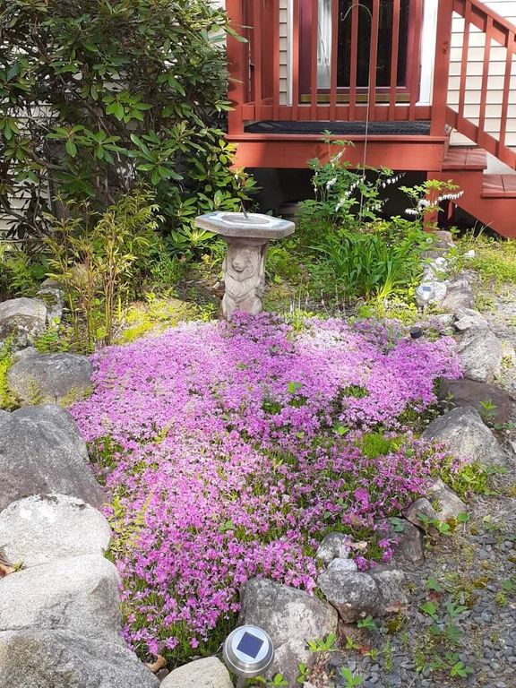 29 Dyer Lane, Casco, ME 04015 — photo 5