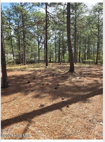 1681 Juniper Lake Road, West End, NC 27376