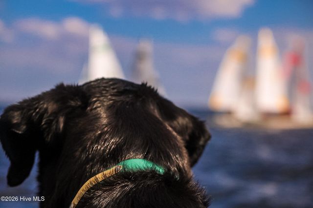 101 Oyster Point Road, Oriental, NC 28571