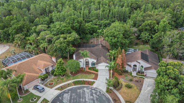 9507 LARKBUNTING DRIVE, Tampa, FL 33647