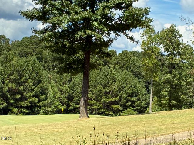 48 Sweet Meadow Lane, Pittsboro, NC 27312