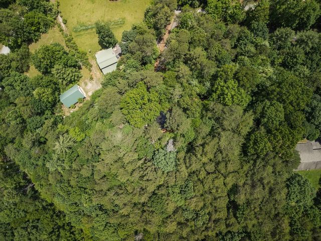 190 Laurel Crossing, Blue Ridge, GA 30513