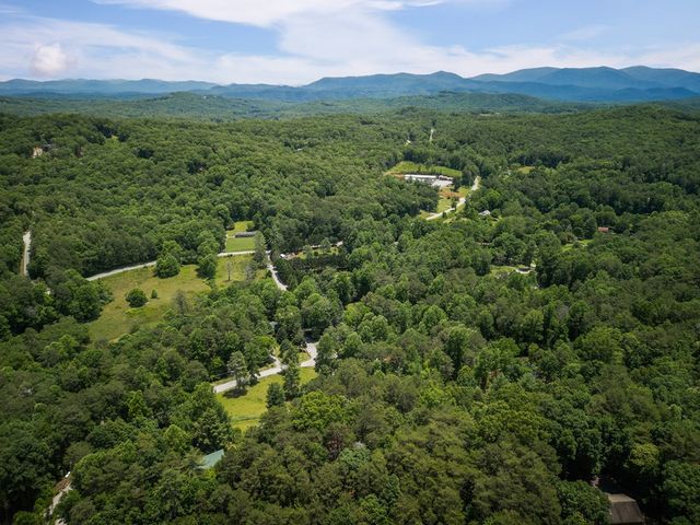 190 Laurel Crossing, Blue Ridge, GA 30513