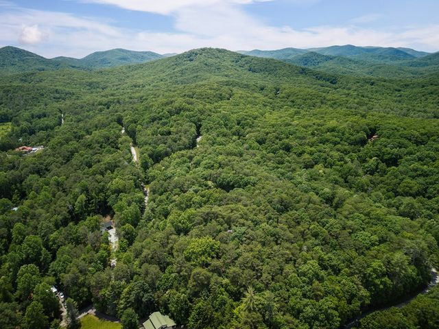 190 Laurel Crossing, Blue Ridge, GA 30513