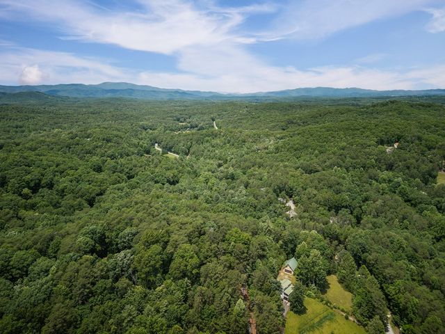 190 Laurel Crossing, Blue Ridge, GA 30513
