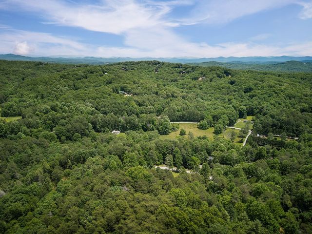 190 Laurel Crossing, Blue Ridge, GA 30513