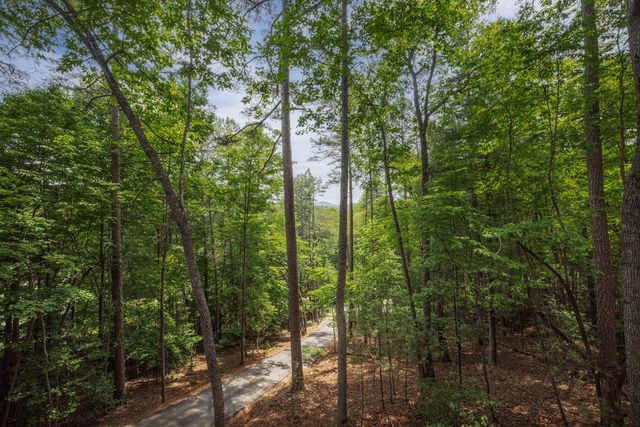 190 Laurel Crossing, Blue Ridge, GA 30513