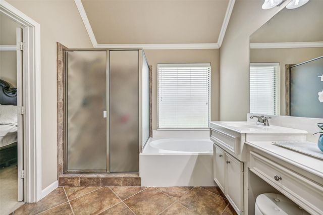 2427 Pioneer Oaks Drive, Fresno, TX 77545