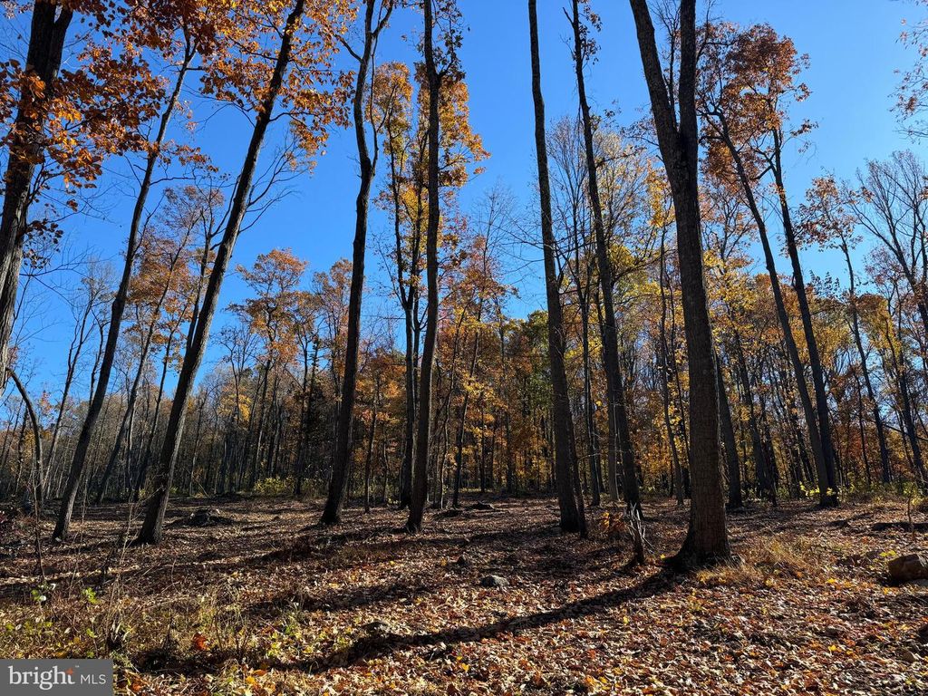 0 DIGGING BEAR LN, Purcellville, VA 20132
