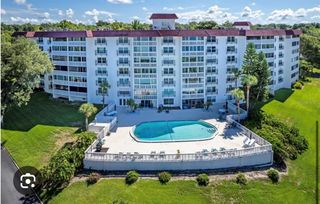 601 N MCDONALD STREET 408, Mount Dora, FL 32757