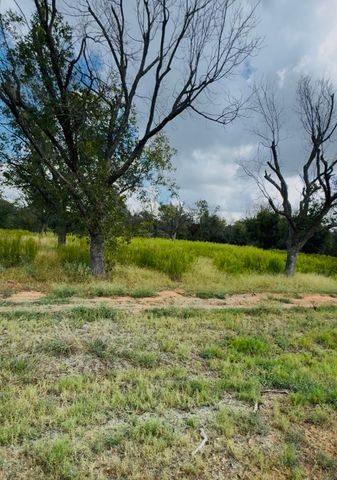1036 E Landings N, Granbury, TX 76049