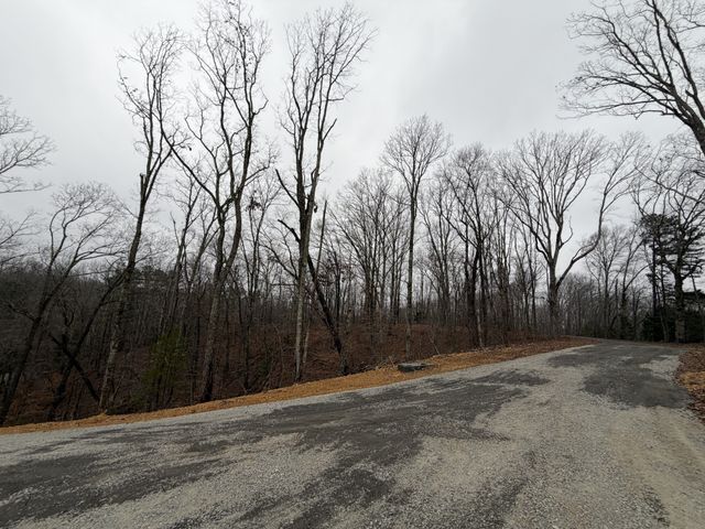 0 Highway 50 East, Centerville, TN 37033