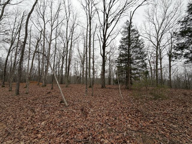 0 Highway 50 East, Centerville, TN 37033