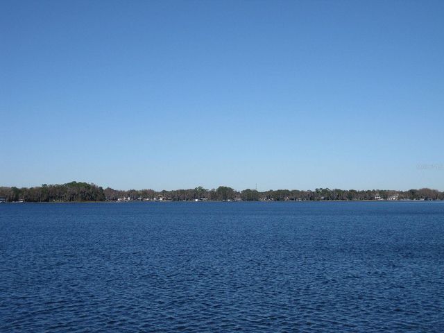 18620 WAYNE ROAD, Odessa, FL 33556